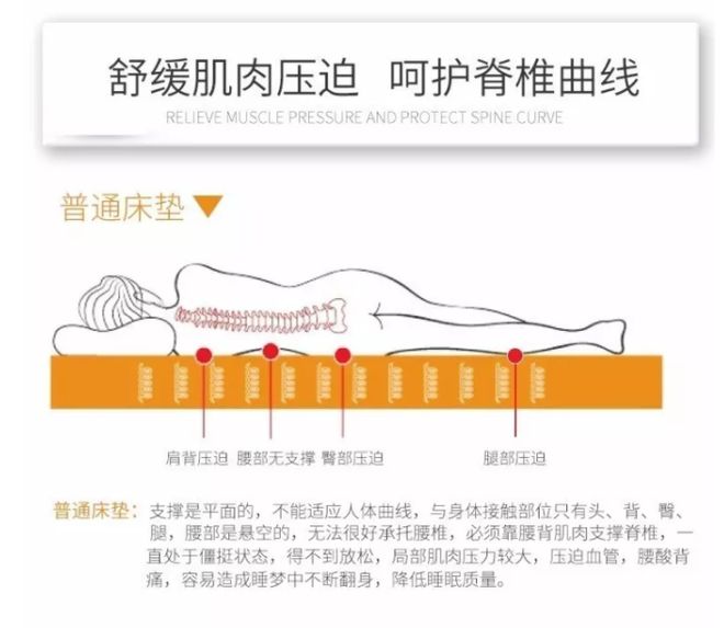 乳胶床垫到底是5公分好还是75公分好还是102火狐电竞0？(图6)