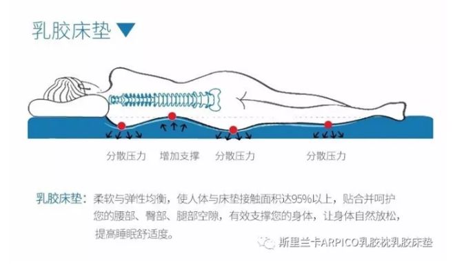 乳胶床垫到底是5公分好还是75公分好还是102火狐电竞0？(图7)