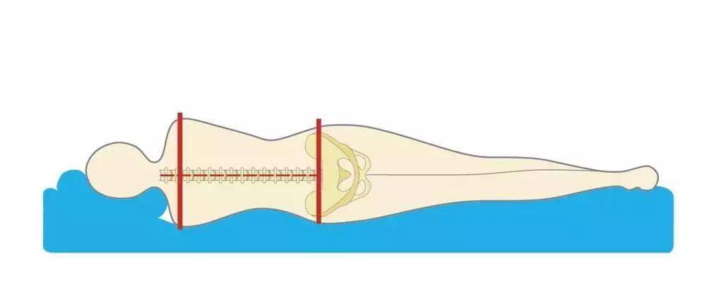 床垫没选对天天睡火狐电竞不好！乳胶、弹簧、棕榈床垫哪款好？(图3)