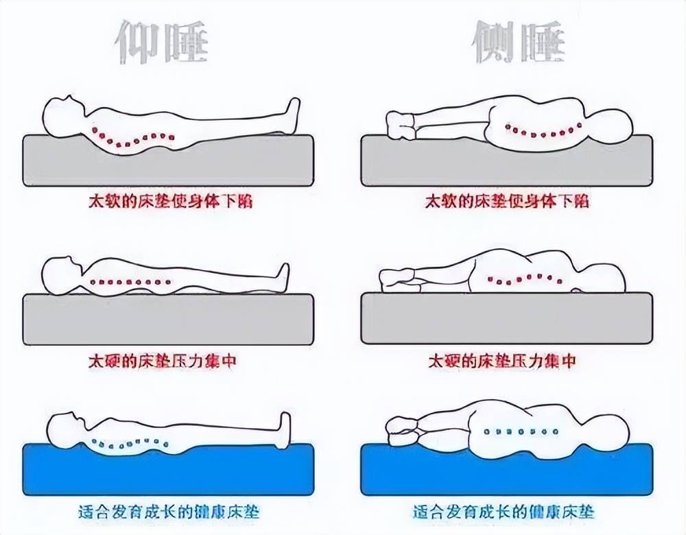 床垫没选对天天睡火狐电竞不好！乳胶、弹簧、棕榈床垫哪款好？(图14)