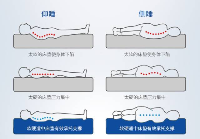 火狐电竞值得买 你们想要的泰国原产进口的乳胶枕、乳胶床垫来了！(图18)