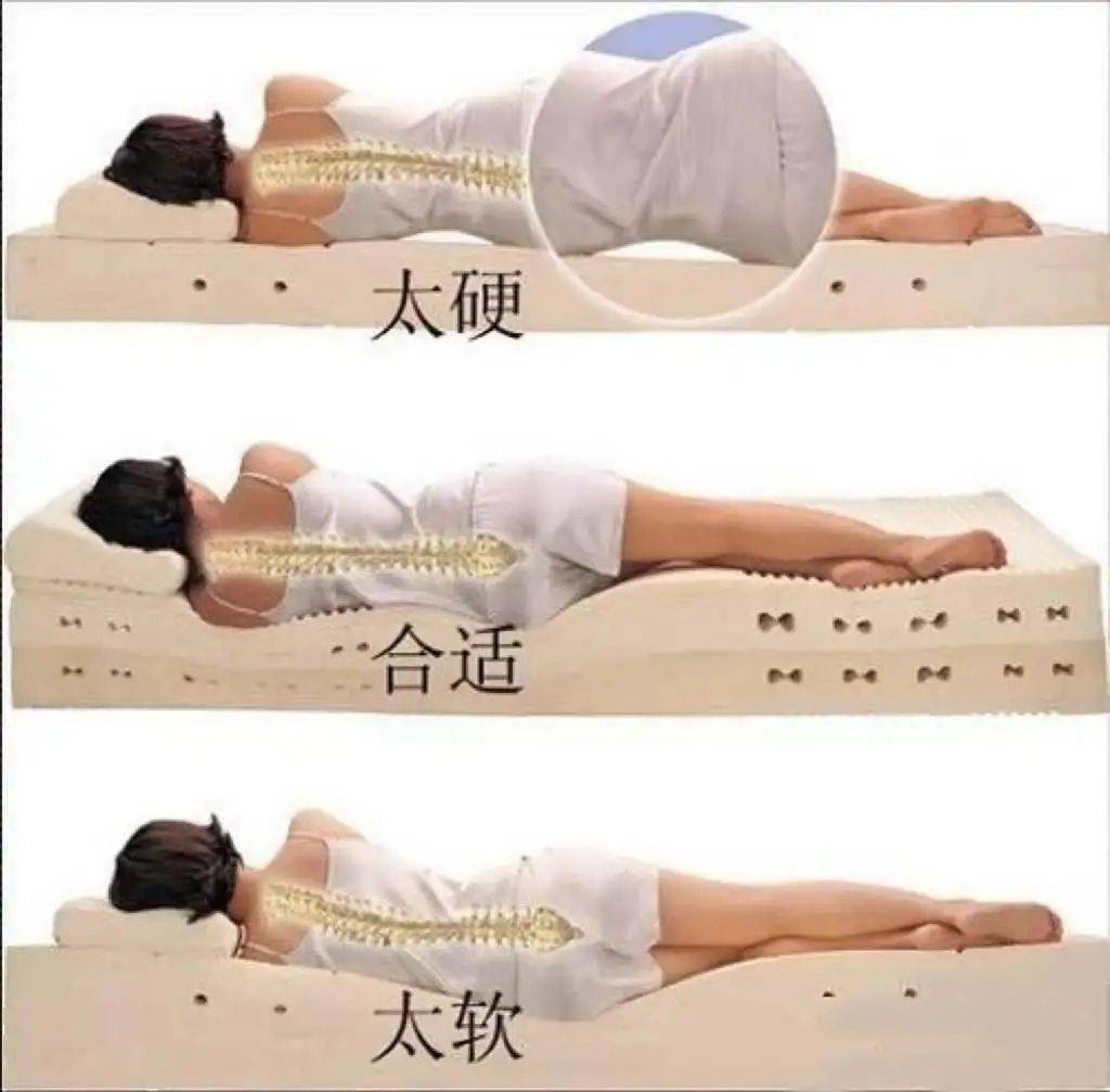 火狐电竞乳胶产品介绍_床垫_睡眠_橡胶树(图5)