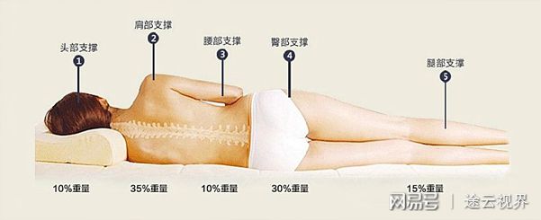 业内解析：正宗的泰火狐电竞国乳胶床垫一般多少钱？(图4)