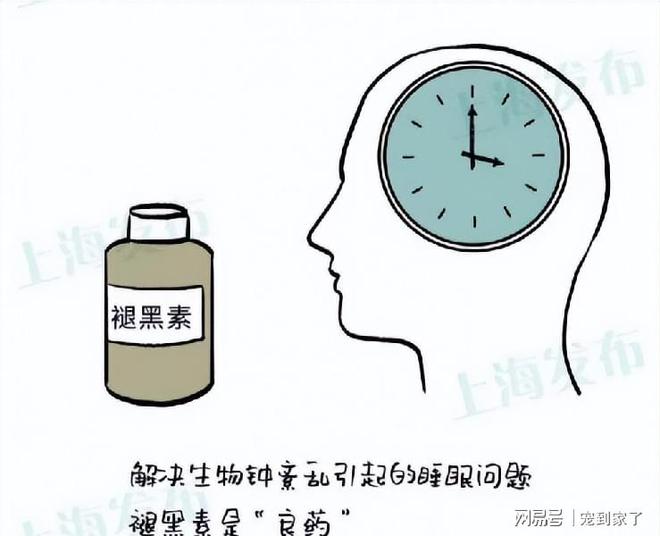 快速入睡提升睡眠质量tips？快充床垫拯救睡眠充电健火狐电竞康。(图5)